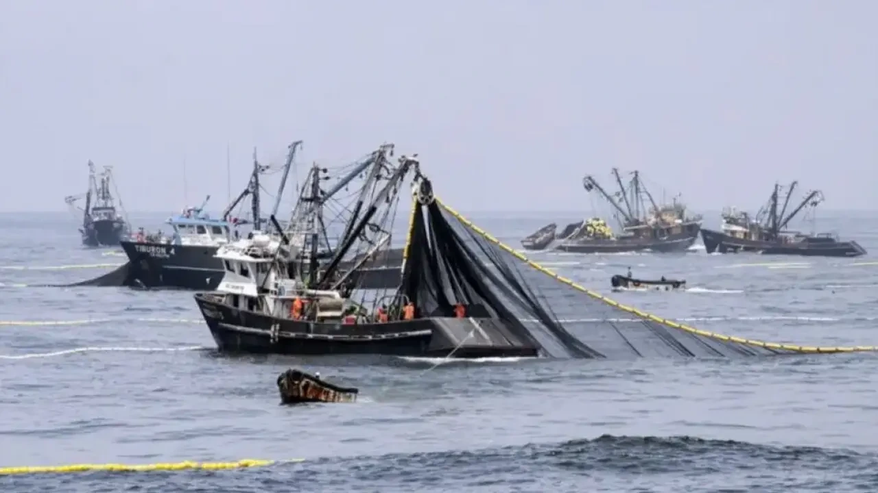 El Mar Argentino bajo vigilancia: ya superan los $5.381 millones las sanciones por pesca ilegal