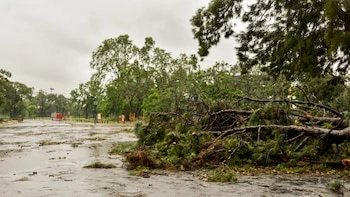 Mar del Plata recupera la calma después del temporal y el Municipio mantiene la atención en los barrios
